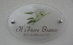 Il Fiore Bianco